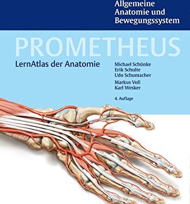 Allgemeine Anatomie und Bewegungssystem Prometheus LernAtlas der Anatomie 0