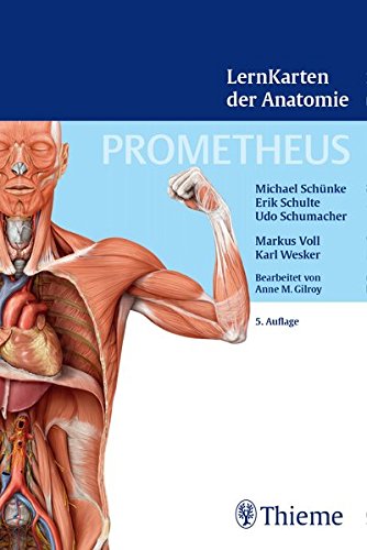 PROMETHEUS LernKarten der Anatomie 0