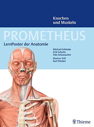 ebook arbeitsmethoden der thermodynamik