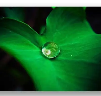 arzt wartezimmer bild green waterdrop in the middle