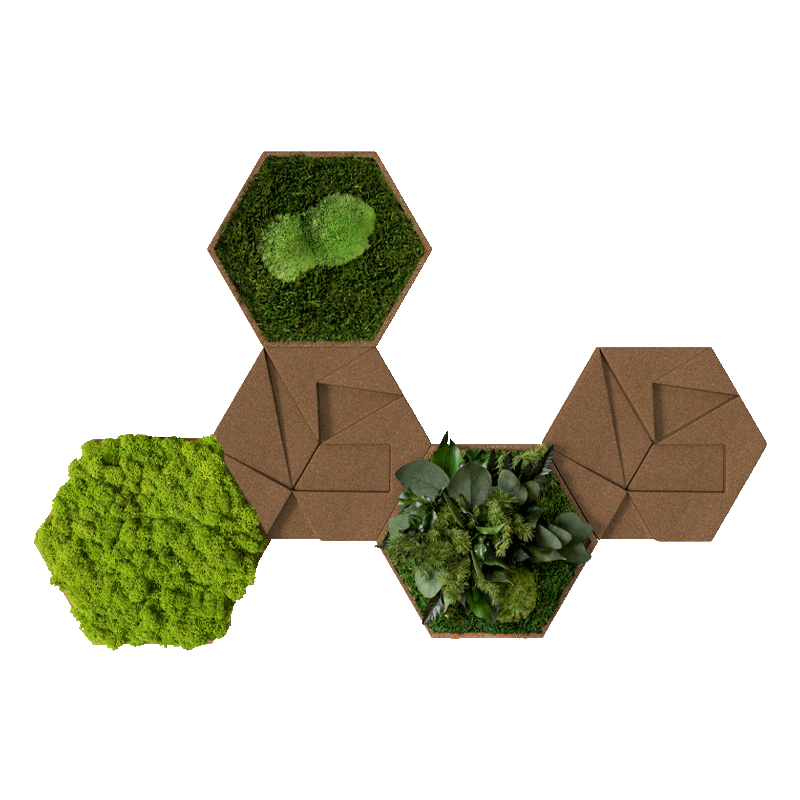 Kork-Hexagon 5er Set 1 Kork-Hexagon 5er Set