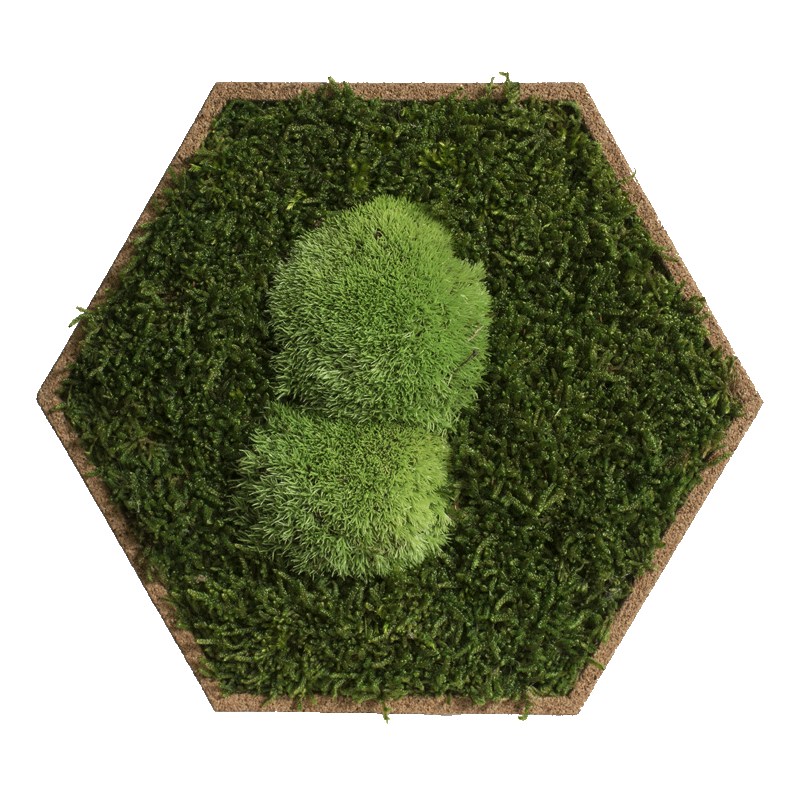 Kork-Hexagon 5er Set 2 Kork-Hexagon 5er Set - Image 2