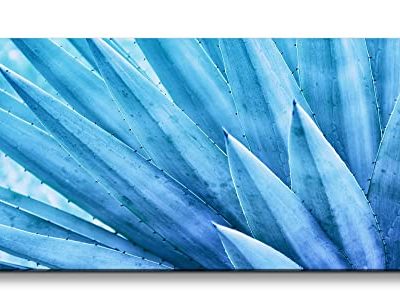 Leinwandbild 120x60cm Aloe Vera Pflanze Kunstvoll Nahaufnahme Dekorativ Blau 0