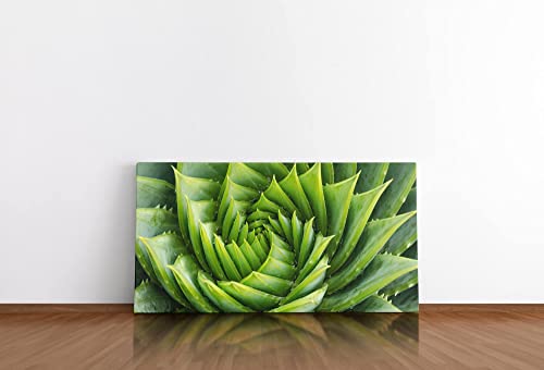 Leinwandbild 120x60cm Aloe Vera Pflanze Kunstvoll Nahaufnahme Dekorativ Gruen 0 12